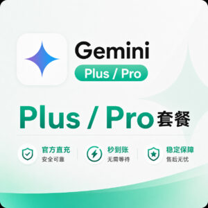 Gemini Plus 与 Pro 套餐订阅产品图
