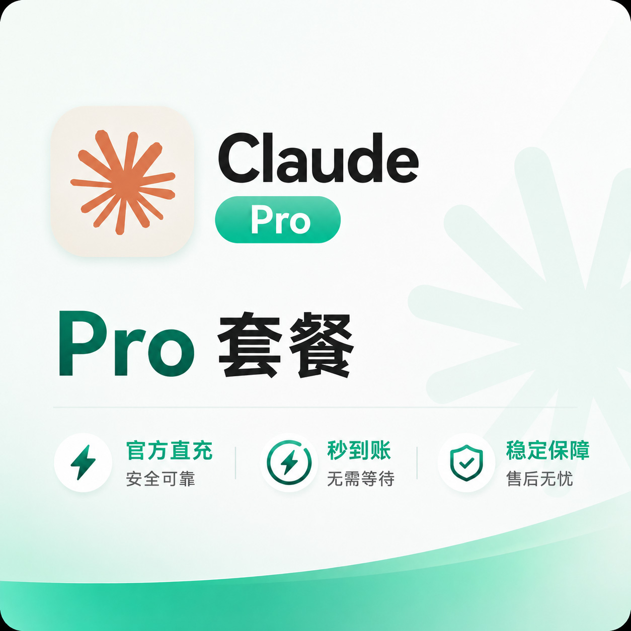 Claude Code Pro 套餐订阅产品图